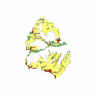 Export Image