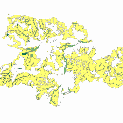 Export Image