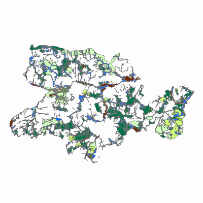 Export Image