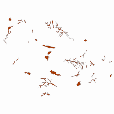 Export Image