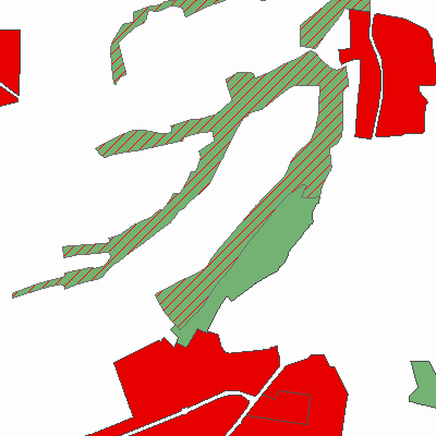 Export Image