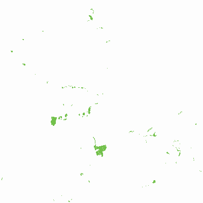 Export Image