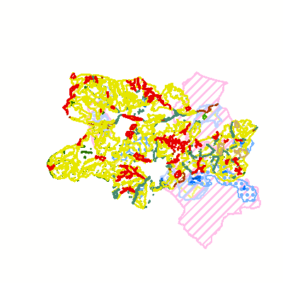 Export Image
